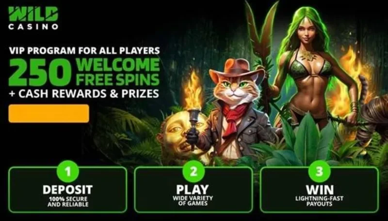 22Win Android Apk mobile gaming experience
